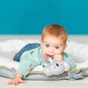 Taf Toys kõristi koaala Kimmy - Fehn