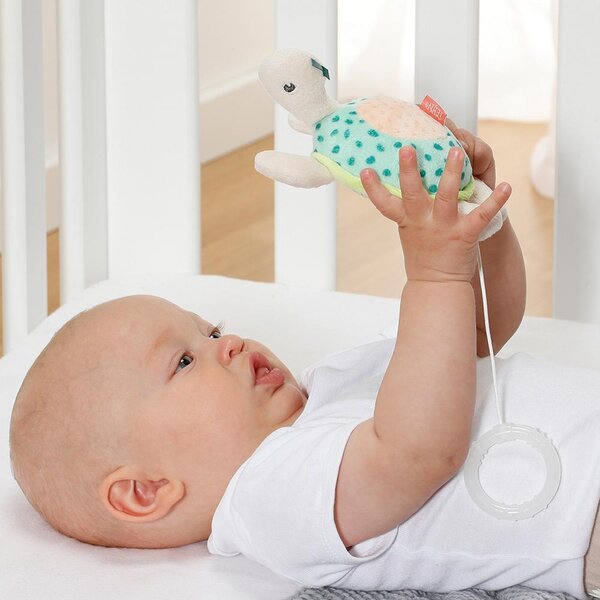 Fehn muusikaline mänguasi Kilpkonn - Fehn