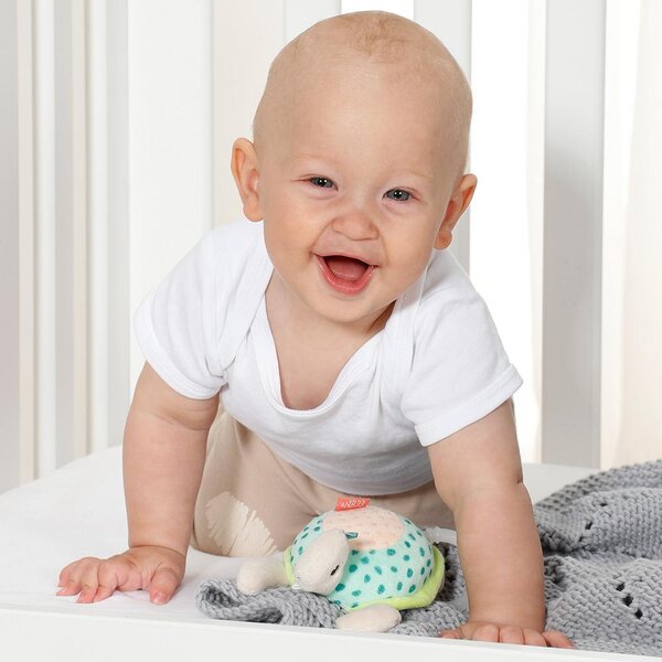 Fehn muusikaline mänguasi Kilpkonn - Fehn