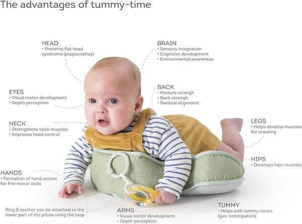 Taf Toys aktiivsuspadi Savannah - Taf Toys