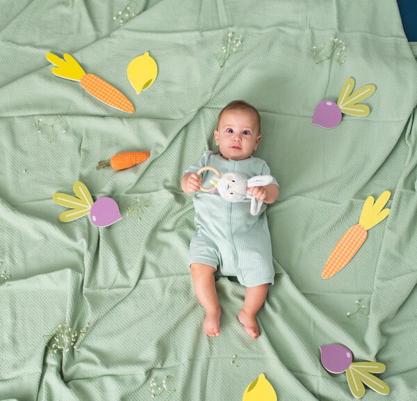 Taf Toys kõristi, Jänes Rylee  - Taf Toys