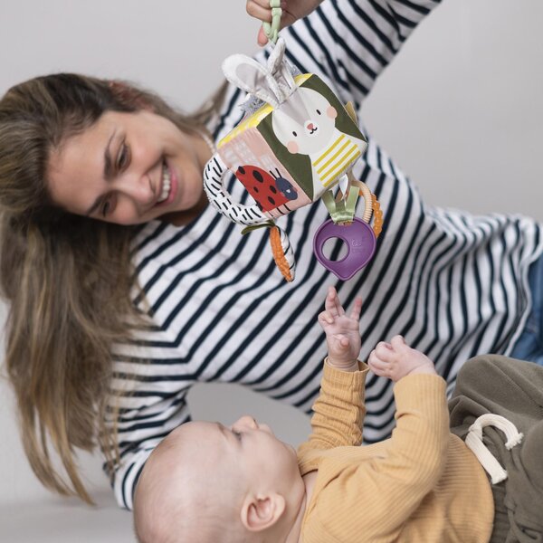 Taf Toys riputatav mänguasi Urban Garden - Taf Toys