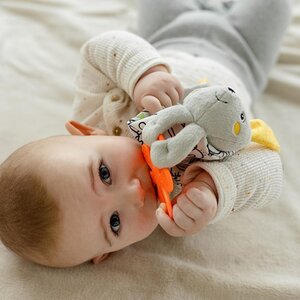 Fehn kaisutekk, Jänku - Fehn