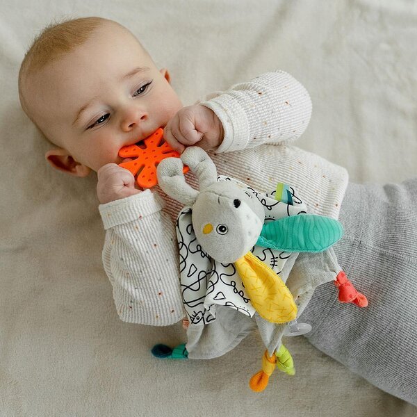 Fehn kaisutekk, Jänku - Fehn