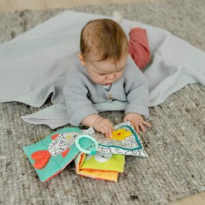 Fehn pehme raamat, Koaala - Fehn