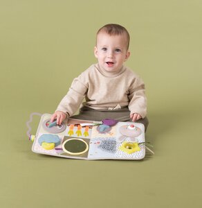 Taf Toys aktiivsuskeskus - Fehn