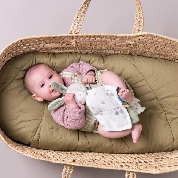 Taf Toys kaisutekk, Jänes Rylee  - Taf Toys