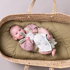 Taf Toys kaisutekk, Jänes Rylee  - Taf Toys