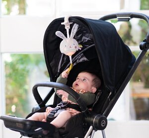 Taf Toys muusikaga mänguasi, Jänes - Fehn