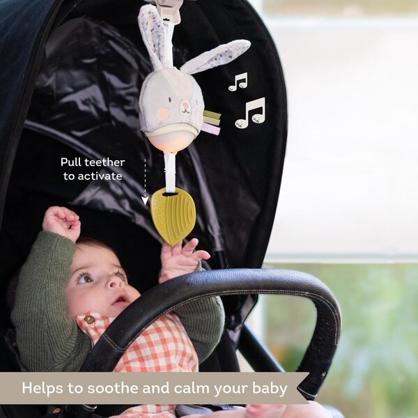 Taf Toys muusikaga mänguasi, Jänes - Taf Toys