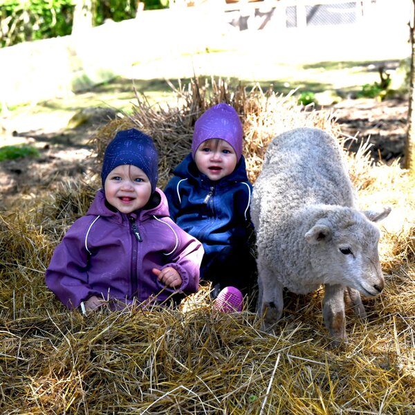 Nordbaby softshell kombinesoon Shnelly - Nordbaby