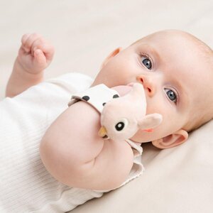 Done by Deer randme kõristi 2tk Happy clouds  - Done by Deer