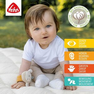 Fehn randme kõristi, Lammas - Fehn