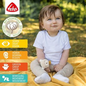 Fehn randme kõristi, Karu - Fehn