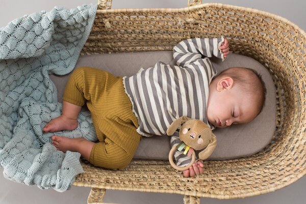 Taf Toys kõristi, Jänes Jenny  - Taf Toys