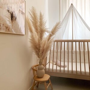 Leander Linea võrevoodi kardinapuu, Beech - Leander