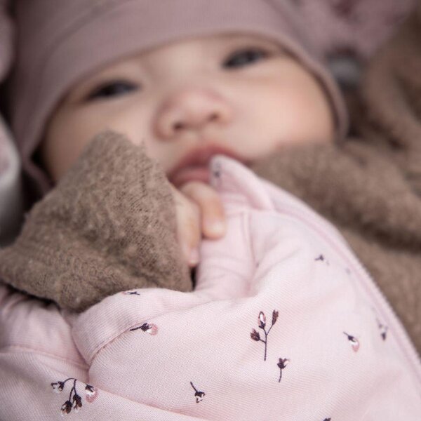 Easygrow Lyng soojakott Blomma Pink - Easygrow