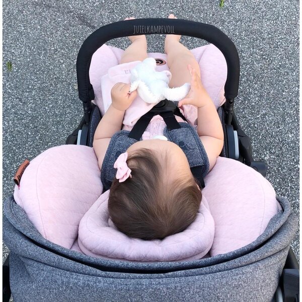 Easygrow Minimizer beebisisu vankrisse Pink - Easygrow