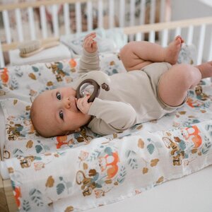 BabyOno kõristi Tigu - BabyOno