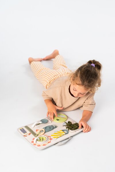 Taf Toys aktiivsuskeskus Snap and Learn  - Taf Toys