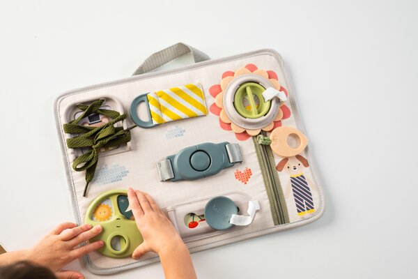 Taf Toys aktiivsuskeskus Snap and Learn  - Taf Toys