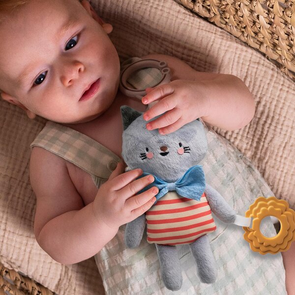 Taf Toys riputatav mänguasi Clara - Taf Toys