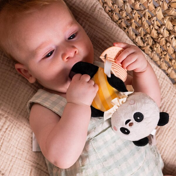 Taf Toys riputatav mänguasi Pamela - Taf Toys