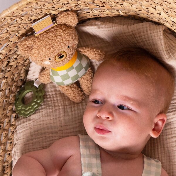 Taf Toys riputatav mänguasi Brendon - Taf Toys