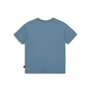 Legowear T-särk Lwtaffy 303 - Legowear