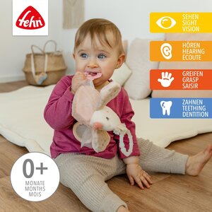 Fehn riputatav mänguasi, Lind - Fehn