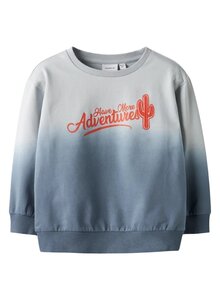 NAME IT pusa nmmhakki - NAME IT