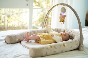 Taf Toys beebipesa mängukaarega Little Explorer - Taf Toys