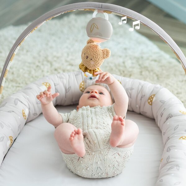 Taf Toys beebipesa mängukaarega Little Explorer - Taf Toys