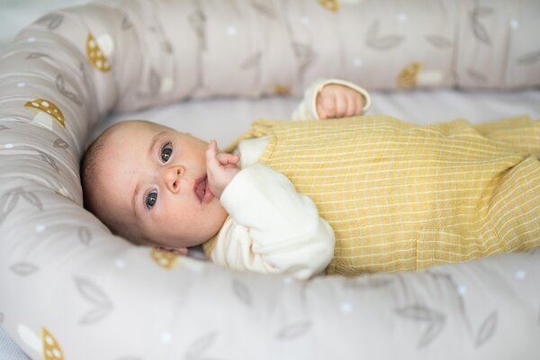 Taf Toys beebipesa mängukaarega Little Explorer - Taf Toys