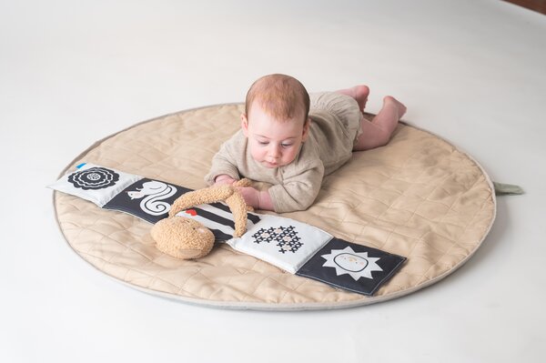 Taf Toys pehme raamat Snuggle Bear - Taf Toys