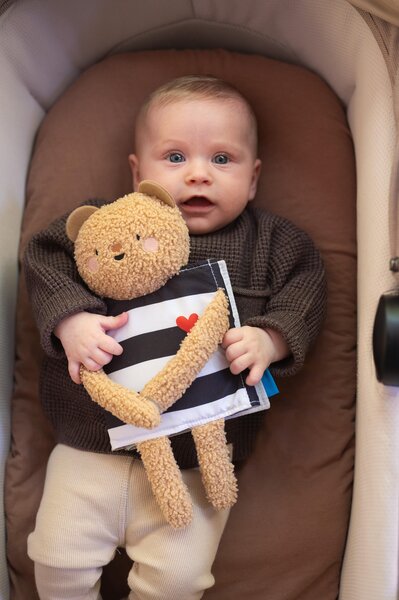 Taf Toys pehme raamat Snuggle Bear - Taf Toys