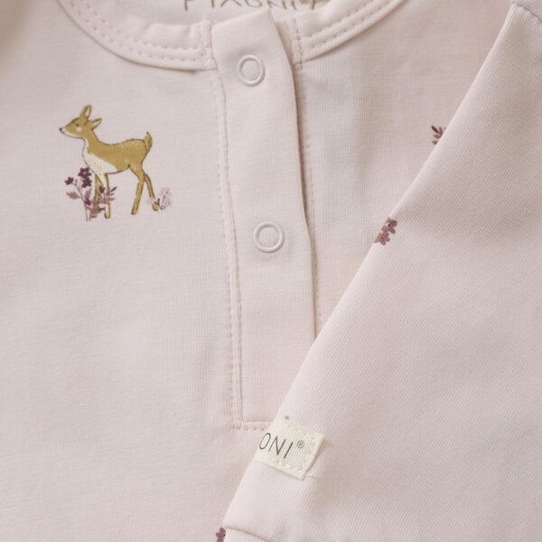 Fixoni tudukombe - Fixoni