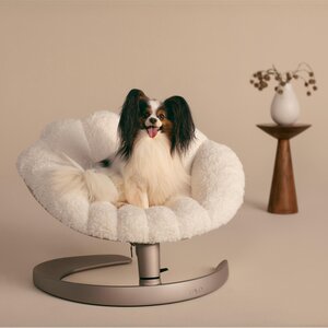 Tavo lemmiklooma pesa Shell, Latte - Tavo