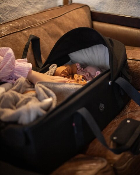 Easygrow Favn 2 kandekookon Black - Easygrow