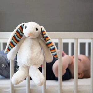 Zazu muusikaga mänguasi Jänes Bibi White - Zazu