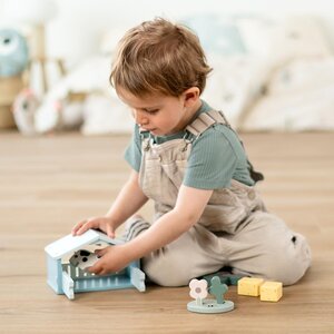 Done by Deer puidust mängukomplekt Tiny farm Dotti Colour - Done by Deer