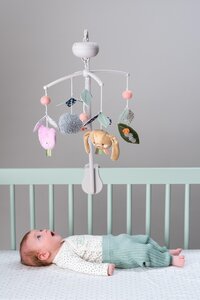 Taf Toys muusikaga voodikarussell Urban Garden - Taf Toys