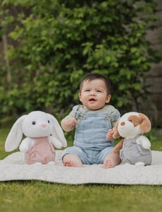 Teddykompaniet pehme mänguasi 22cm, Koer - Teddykompaniet